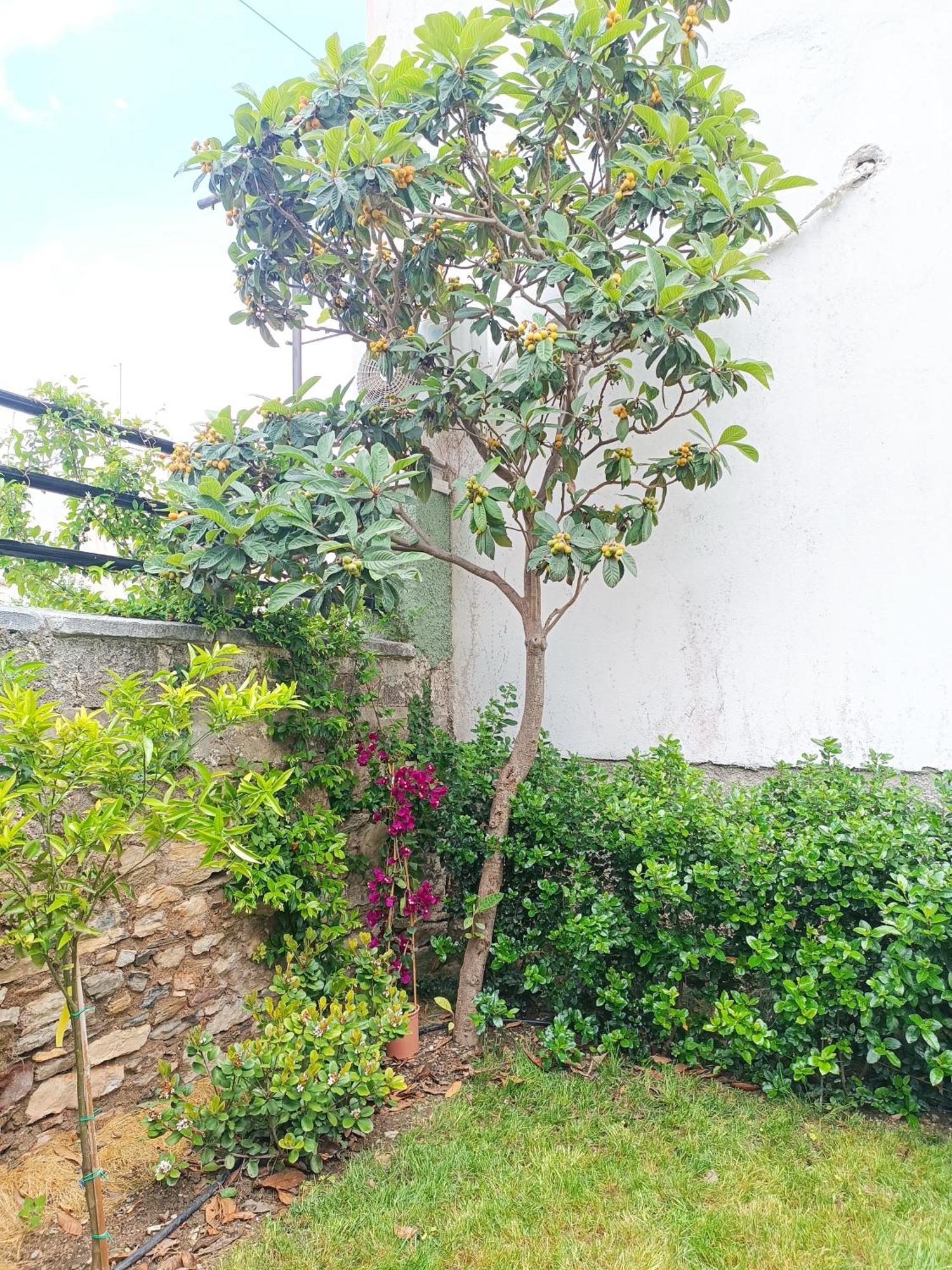 Betty'S Garden House Villa Néa Ankhíalos Стая снимка