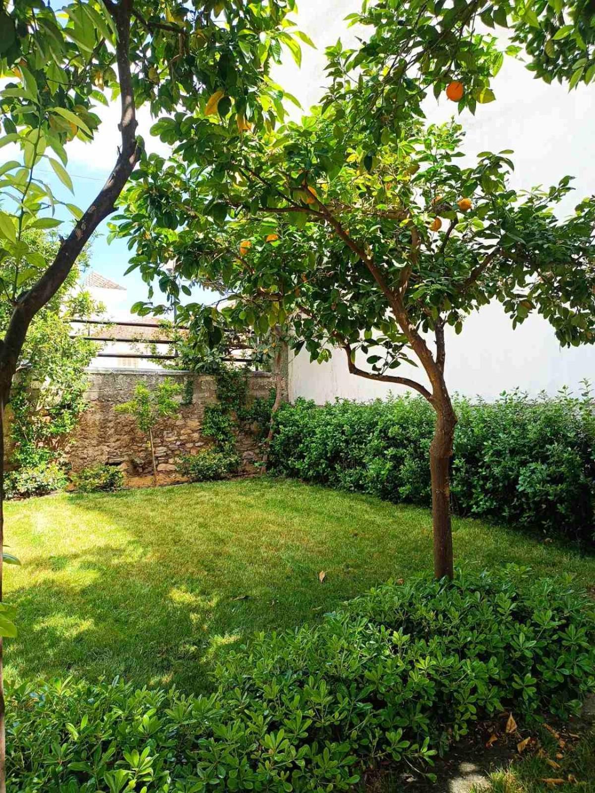 Betty'S Garden House Villa Néa Ankhíalos Екстериор снимка